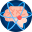 Neurologi